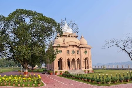Belur moth