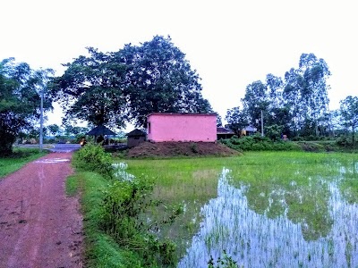 Behara Shai
