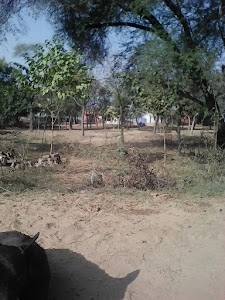 Govt. Primary School, Dhani Ahmed [10876]