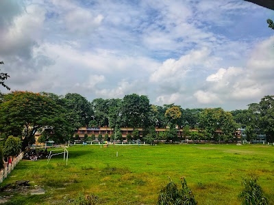 Falakata College