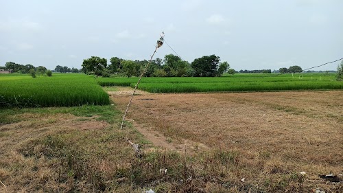 Bharauli Kalan Doyam
