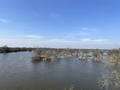 Bharatpur Bird Sanctuary