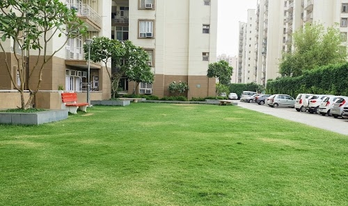 Tulip Orange, Sector 70, Tulip Lane, SPR Sohna Road
