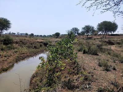 Kachnariya