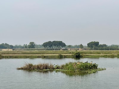 Alamdanga Upazila
