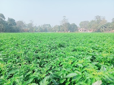 Sugaba Mahanadpur