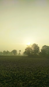 Pakhara