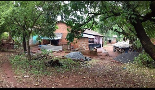 Palvan