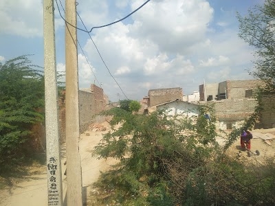 Hariyada