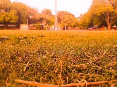 Pandara Park, India Gate