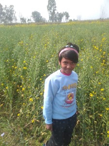 Rampur Khaad Godown sandeep
