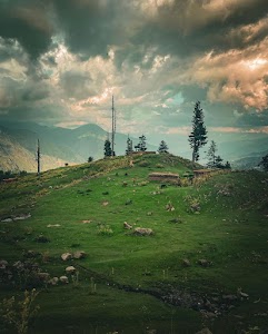 Jammu & Kashmir