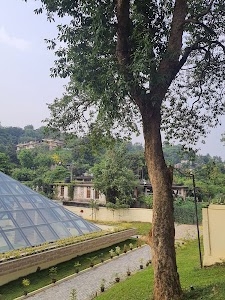 Hengrabari Nature Park