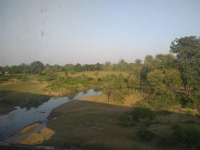 Golu