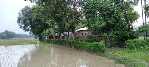 Kaoi Mari
