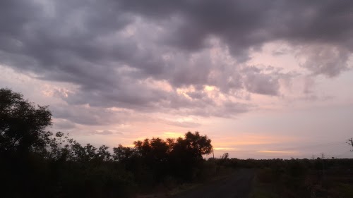 Hadalgi