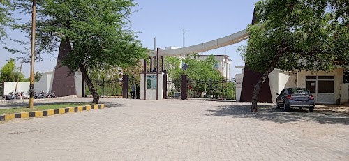 College of Management Studies