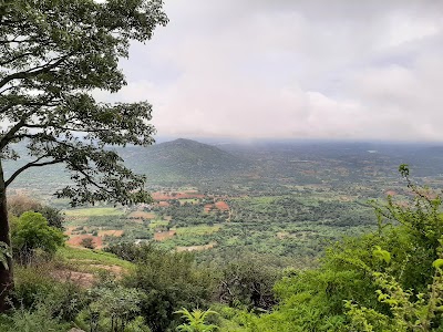 DD Hills Top Viewpoint