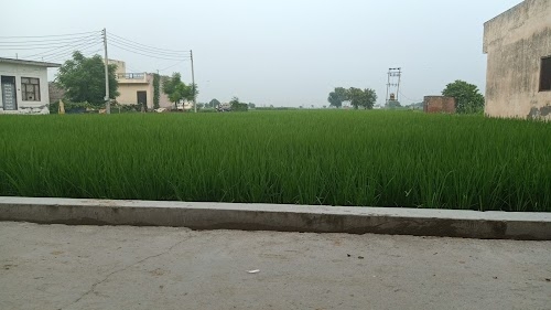 Mukarpur