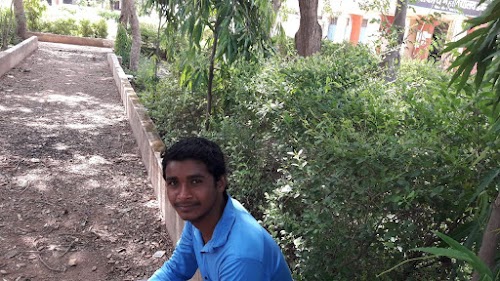Dev Travel's Bus Service Dabhara