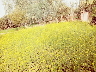 Tela Khas