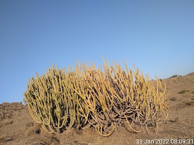 Kheempura