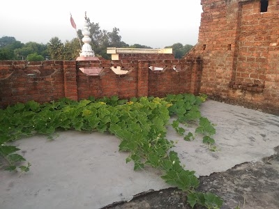 Dohari