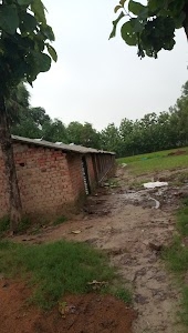 Bangal Pur