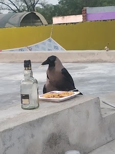 Tarapur