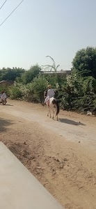 Seekwada