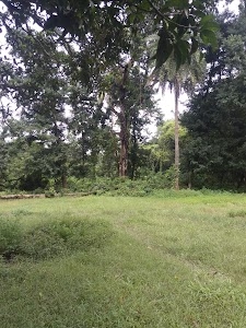 Jagadishpur