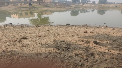 Local Water Pond Behind panchayat
