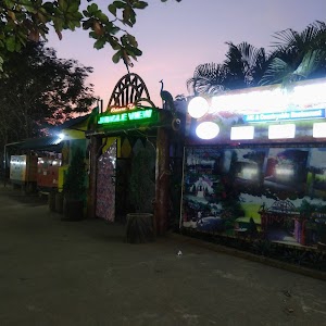Jungle View