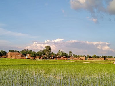 Meri Bazar Meri