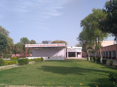 Dhiranwas