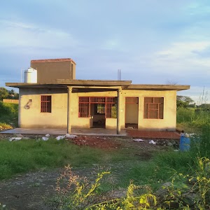 Paploha