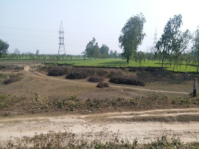 Jayantika Tea Estate