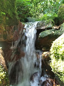 Ranigarh