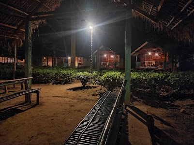 Nature Hunt Eco Camp Kaziranga