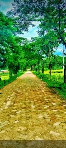 Mahamadpur Pt I