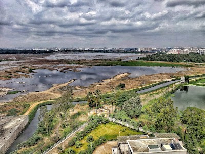 Bellandur Lake