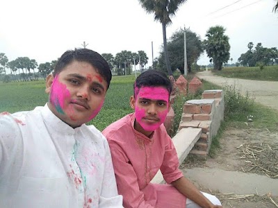 Kanauli