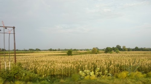 Farah