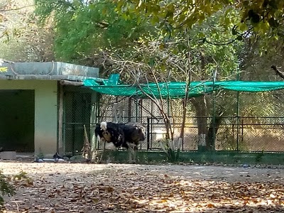 Sakkarbaag Vehicle Parking