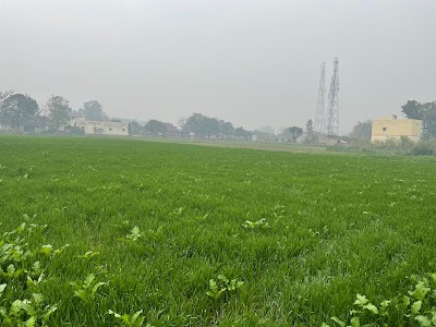 Kachari