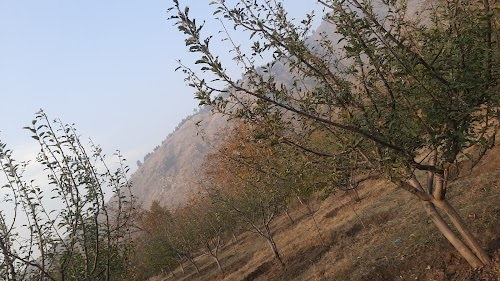 Nagwadi Gujjar Basti Pinglish