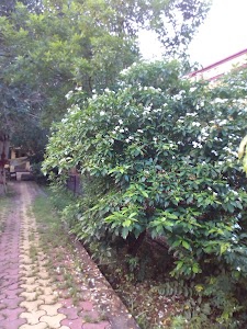 Tehsil Park