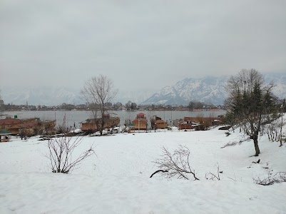Cherry Park چری پارک