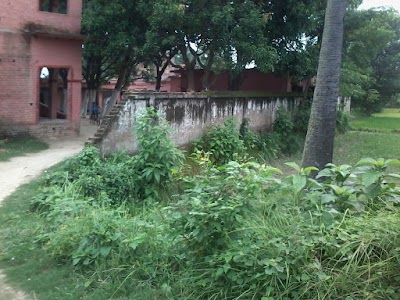 Dhobauli School