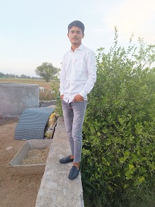 Phagi Jaipur rajasthan